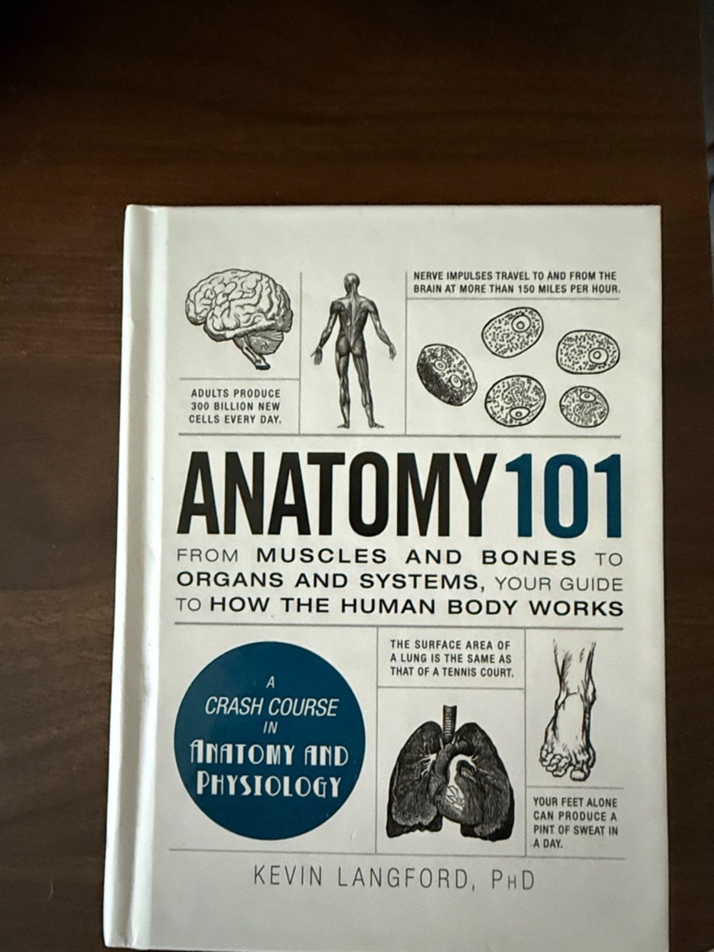 Anatomy 101 Hardcover Book - White & Blue Cover